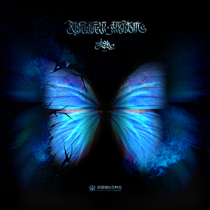 杏色av免费在线观看
