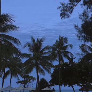 杏色av免费在线观看
