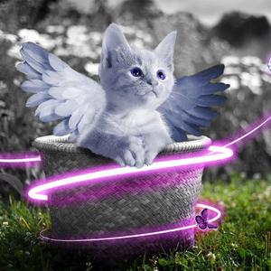 杏色av免费在线观看
